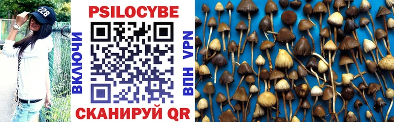 Псилоцибиновые грибы мицелий  купить   Калязин 